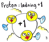 Proton: ladning +1